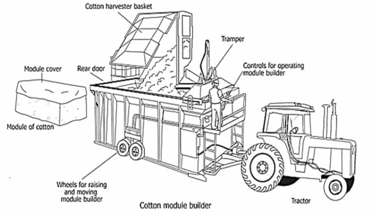 cotton module builder