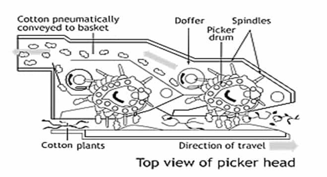 cotton picker
