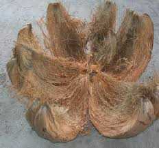 coir-husk