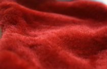 velvet fabric