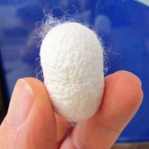 silk cocoon
