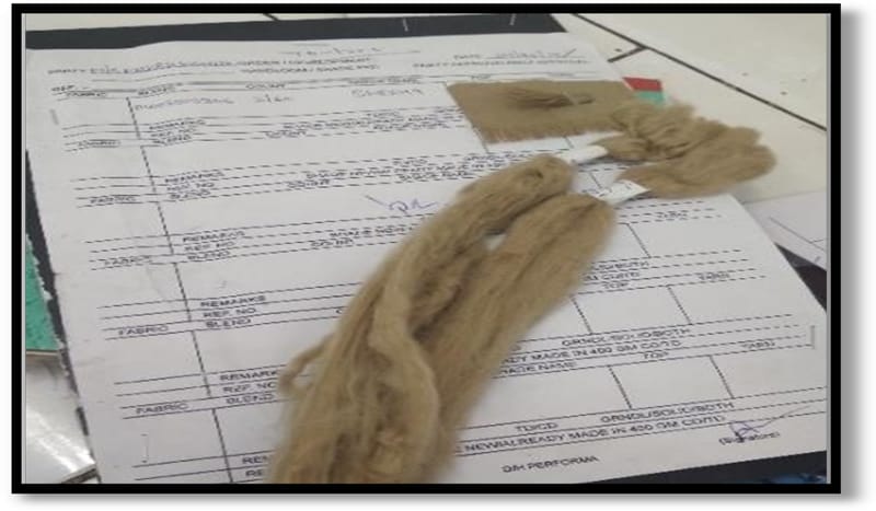 Figure 1.1: dyeing lab sample