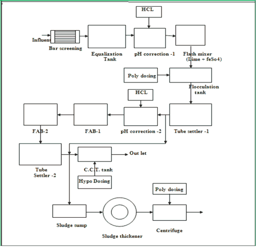 Experimental procedure