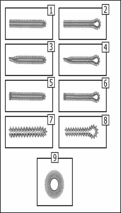 Type of eyelets