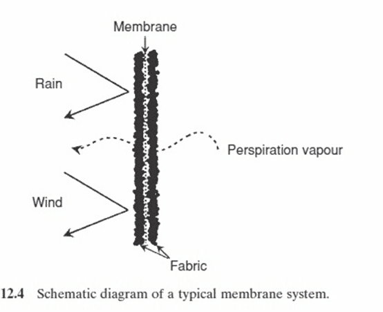 schematic diagram of a typical membrane system